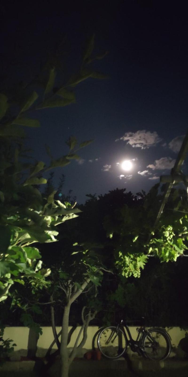 Morska Zvezda Guest House Chernomorets Buitenkant foto